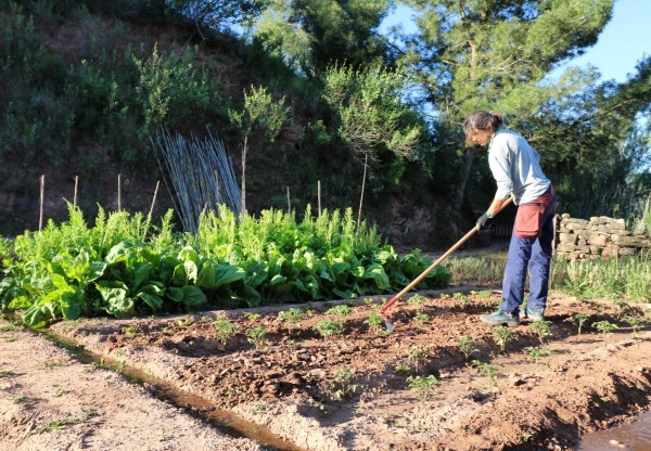 Imagen de cabecera de Col·lectiu Eixarcolant, transformant el model agroalimentari