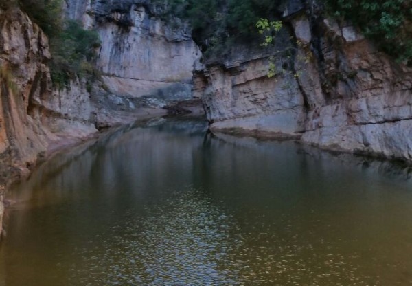 Imatge de capçalera de Jornada gestió del paisatge a les Terres del Gaià